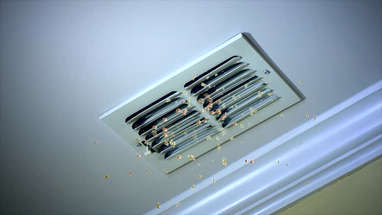 Air Duct Mold Removal in Ebensburg, PA